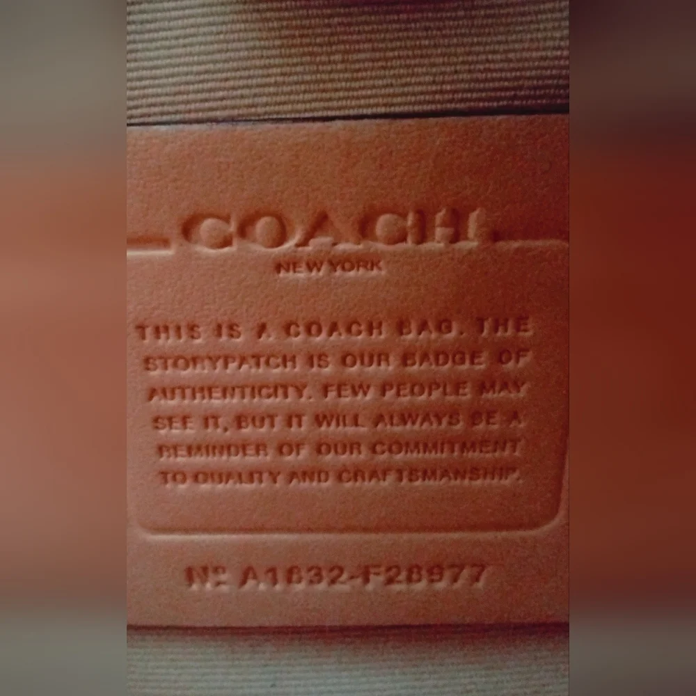 Coach Mini Sage Carryall Light Pink Satchel with Chain Strap - Picture 13 of 13